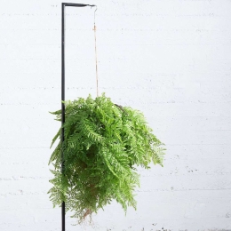 Τεχνητή Κρεμαστή Φτέρη 3651-7 55x55x60cm Green Supergreens Polyethylene
