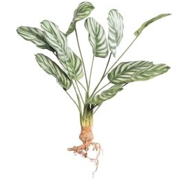 Τεχνητή Χωνευτή Καλαθέα Orbifolia 7431-7 25x61cm Green Supergreens Πολυαιθυλένιο
