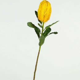 Τεχνητό Κλωνάρι Βαγξία 0701-7 18x18x65cm Yellow Supergreens Πολυέστερ