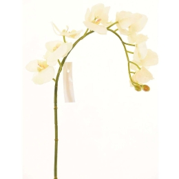Τεχνητό Κλωνάρι Ορχιδέα 3230-7 75cm White Supergreens Πολυαιθυλένιο