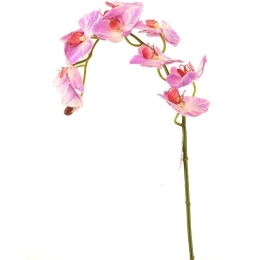 Τεχνητό Κλωνάρι Ορχιδέα 8380-7 75cm Fuchsia Supergreens Πολυαιθυλένιο