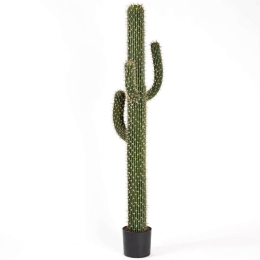 Τεχνητό Δέντρο Εφόρμπια Mili 8780-6 167cm Green Supergreens Πολυαιθυλένιο
