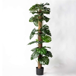 Τεχνητό Δέντρο Μονστέρα 2080-6 150cm Green Supergreens Πολυαιθυλένιο