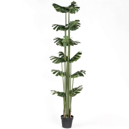 Τεχνητό Δέντρο Μονστέρα 2880-6 50x200cm Green Supergreens Πολυαιθυλένιο