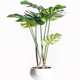 Τεχνητό Φυτό Μονστέρα 8550-6 40x40x65cm Green Supergreens Πολυαιθυλένιο