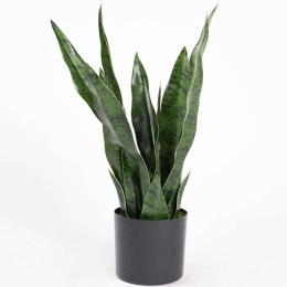 Τεχνητό Φυτό Σανσεβιέρια Robusta 9880-6 55cm Green Supergreens Πολυαιθυλένιο