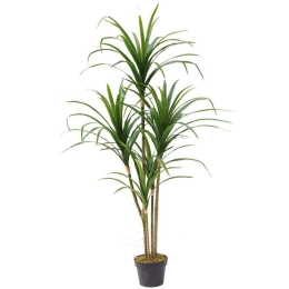 Τεχνητό Δέντρο Δράκαινα Anita 9280-6 70x150cm Green Supergreens Πολυαιθυλένιο
