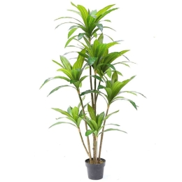 Τεχνητό Δέντρο Δράκαινα 6180-6 80x170cm Green Supergreens Πολυαιθυλένιο