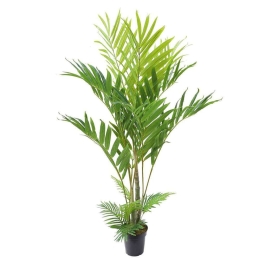 Τεχνητό Δέντρο Αρχοντοφοίνικας Betel 2280-6 100x200cm Green Supergreens Πολυαιθυλένιο