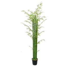 Τεχνητό Δέντρο Μπαμπού Golden 4280-6 70x230cm Green Supergreens Πολυαιθυλένιο