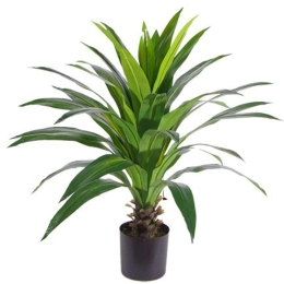 Τεχνητό Φυτό Δράκαινα 5180-6 80x100cm Green Supergreens Πολυαιθυλένιο