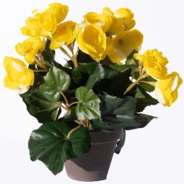 Τεχνητό Φυτό Μπιγκόνια 5390-6 20x20x25cm Yellow Supergreens Πολυέστερ