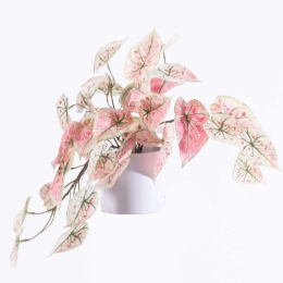 Τεχνητό Φυτό Ντιφενμπάχια 5190-6 41cm Pink Supergreens Πολυέστερ