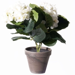 Τεχνητό Φυτό Ορτανσία 8190-6 35x35x40cm White Supergreens Πολυέστερ