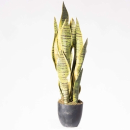 Τεχνητό Φυτό Σανσεβιέρα 2870-6 65cm Green Supergreens Πολυαιθυλένιο
