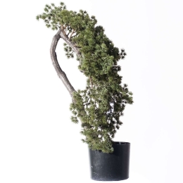 Τεχνητό Μπονσάι Πεύκο 5090-6 65cm Green Supergreens Πολυαιθυλένιο