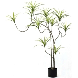 Τεχνητό Δέντρο Δράκαινα Sanderiana 8770-6 150cm Green Supergreens Πολυαιθυλένιο,Ύφασμα