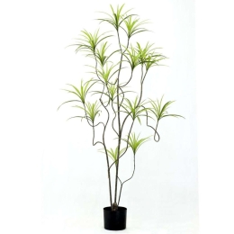 Τεχνητό Δέντρο Δράκαινα Sanderiana 9770-6 210cm Green Supergreens Πολυαιθυλένιο,Ύφασμα