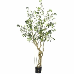 Τεχνητό Δέντρο Φίκος Microcarpa 5770-6 210cm Green Supergreens Πολυαιθυλένιο,Ύφασμα