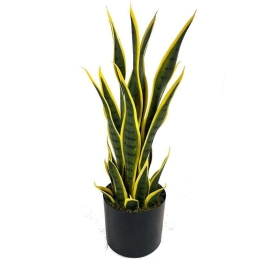 Τεχνητό Φυτό Σανσεβιέρα Trifasciata 6840-6 55cm Green-Yellow Supergreens Ύφασμα,Πλαστικό