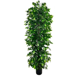 Τεχνητό Δέντρο Συκιά Anus 4511-6 180cm Green Supergreens Πλαστικό, Ύφασμα