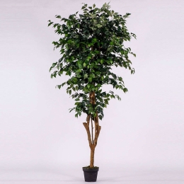 Τεχνητό Δέντρο Φίκος 0240-6 195cm Green Supergreens Πολυαιθυλένιο,Ύφασμα