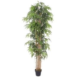 Τεχνητό Δέντρο Μπαμπού Lucky 1430-6 213cm Green Supergreens Ύφασμα,Bamboo