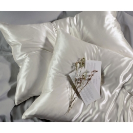 Μαξιλαροθήκη Mulberry Silk 41-0777 White Down Town 50X75 Μετάξι