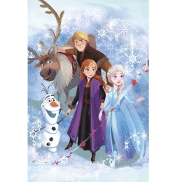 Κουβέρτα Βρεφική Fleece Polyester Frozen 21 Digital Print Disney DimCol Κούνιας 100x150cm Πολυέστερ