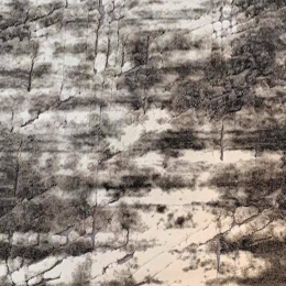 Χαλί Feshane 9676 Grey 160X230cm