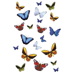 Διακοσμητικά Αυτοκόλλητα Butterfly 1907 23x34cm Multicolor Kleine Wolke Πλαστικό