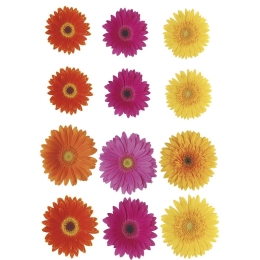 Διακοσμητικά Αυτοκόλλητα Gerbera 1912 15x23,5cm Multicolor Kleine Wolke Πλαστικό