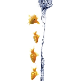 Διακοσμητικά Αυτοκόλλητα Underwater 1904 23x68cm Muticolor Kleine Wolke Πλαστικό