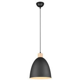 Φωτιστικό Οροφής Jagger R30681032 1xE27 40W Φ25cm 150cm Black Mat RL Lighting Μέταλλο