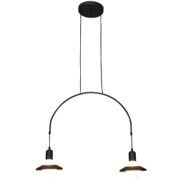 Φωτιστικό Οροφής Κρεμαστό HL-3528-2 77-3824 Everdina Black  Homelighting Μέταλλο