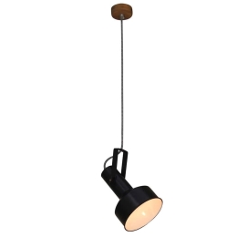 Φωτιστικό Οροφής Κρεμαστό HL-2445-1P1 77-3055 Spectre Black Homelighting Μέταλλο