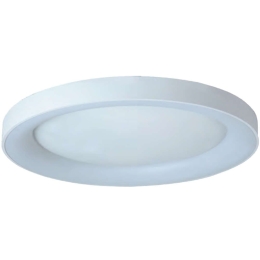 Φωτιστικό Οροφής - Πλαφονιέρα 77-8156 Led Smart 80cm Amaya White Homelighting Αλουμίνιο,Ακρυλικό
