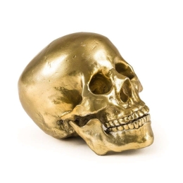 Διακοσμητικό Diesel-Human Skull Gold Seletti Αλουμίνιο
