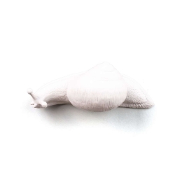 Κρεμάστρα Slow Snail 3 White Seletti Πολυρεσίνη