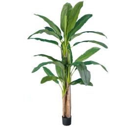 Τεχνητό Δέντρο Banana Tree 20018 Φ130x240cm Green-Brown Globostar Πολυαιθυλένιο,Ύφασμα