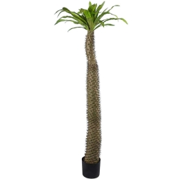 Τεχνητό Δέντρο Pachypodium Lamerei Palm Tree 20130 Φ70x175cm Brown-Green GloboStar Πολυαιθυλένιο