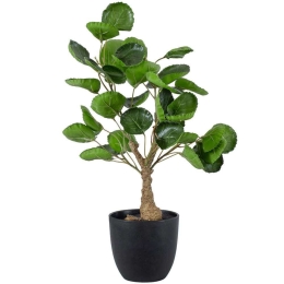 Τεχνητό Φυτό Πολυσκιά 20424 50cm Beige-Green Globostar Πολυαιθυλένιο,Ύφασμα