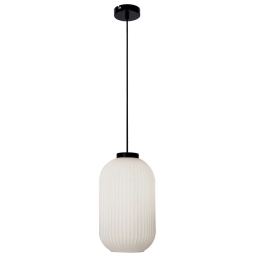 Φωτιστικό Οροφής Astor 4253100 E27 White-Black Viokef Μέταλλο,Γυαλί