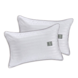 Μαξιλάρια Ύπνου Anatomic (Σετ 2τμχ) Firm White Guy Laroche 50Χ70 Microfiber