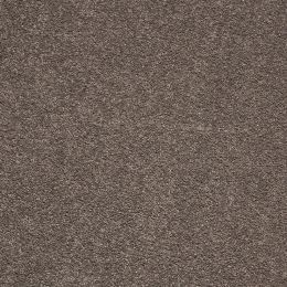 Χαλί Barbados 79 Brown Colore Colori 170X240cm