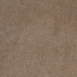 Χαλί Sweet 72 Brown Colore Colori 220Χ320cm