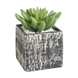 Τεχνητό Φυτό Σε Κασπώ 428007 7,5x7,5x12cm Green Eglo Πλαστικό