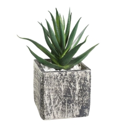 Τεχνητό Φυτό Σε Κασπώ 428008 9,5x9,5x13cm Green Eglo Πλαστικό