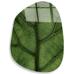 Διακοσμητικό Τοίχου 123BZM2594 50x70cm Green Γυαλί