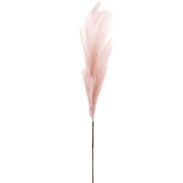 Τεχνητό Φυτό Pampas 00-00-6110-2 117/64cm Apple Marhome Foam